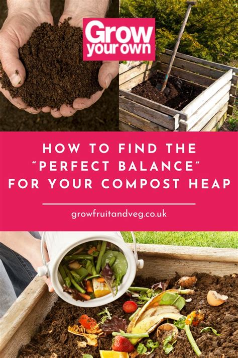 A Closer Look at the Ingredients of Witchcraft Potting Compost